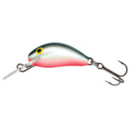 Salmo Hornet H2S...
