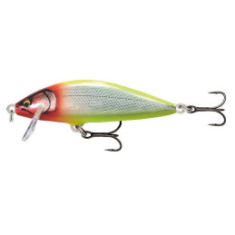 Rapala Countdown Elite...